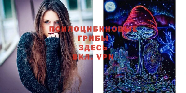соль ск Балабаново